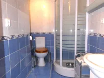 Pronájem obchodního prostoru, Ostrava - Mariánské Hory, 28. října, 25 m2