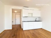 Pronájem bytu 1+kk, Praha - Karlín, Křižíkova, 32 m2