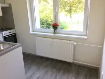 Pronájem bytu 1+1, Ostrava - Hrabůvka, U Haldy, 38 m2