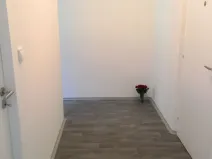 Pronájem bytu 1+1, Ostrava - Hrabůvka, U Haldy, 38 m2