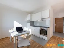 Pronájem bytu 1+1, Chomutov, Kamenná, 35 m2