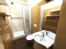 Pronájem bytu 1+1, Ostrava, Daliborova, 41 m2