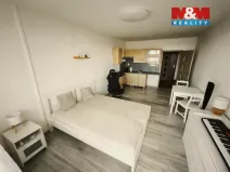 Prodej bytu 1+kk, Havířov - Šumbark, 27 m2