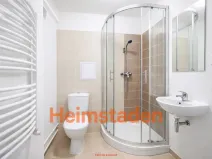 Pronájem bytu 1+1, Ostrava - Poruba, Dělnická, 29 m2