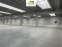Pronájem výrobních prostor, Říčany, U Sanitasu, 11000 m2
