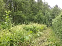 Dražba pozemku pro bydlení, Teplice nad Metují, 18922 m2
