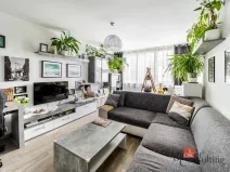 Prodej bytu 2+1, České Budějovice - České Budějovice 3, Lipenská, 60 m2