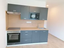 Pronájem bytu 1+1, Chodov, Čs. odbojářů, 36 m2