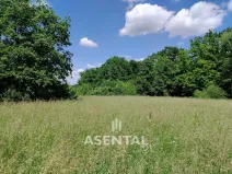 Prodej pozemku, Karviná - Louky, 285924 m2