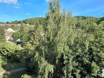 Pronájem bytu 2+1, Boskovice, Bílkova, 54 m2