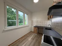 Pronájem bytu 2+1, Most, Pionýrů, 54 m2