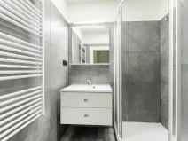 Prodej bytu 2+kk, Praha - Žižkov, Buchovcova, 46 m2