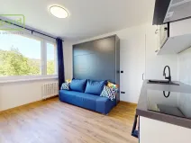 Pronájem bytu 1+kk, Ústí nad Labem - Střekov, Tolstého, 20 m2