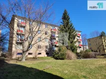 Pronájem bytu 1+1, Praha - Žižkov, Buková, 35 m2