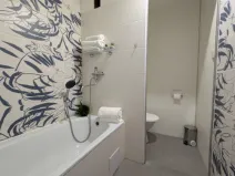 Prodej bytu 1+1, Nový Bor, Boženy Němcové, 36 m2