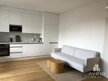Pronájem bytu 1+kk, Brno, Kleštínek, 40 m2
