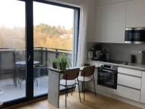 Pronájem bytu 1+kk, Brno, Kleštínek, 40 m2