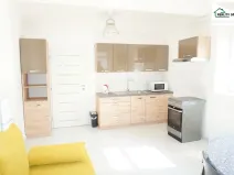 Pronájem bytu 1+1, Františkovy Lázně - Horní Lomany, Americká, 45 m2