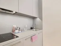 Pronájem bytu 1+kk, Brno, Mlýnská, 24 m2