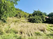 Prodej pozemku pro bydlení, Husinec, Husinecká, 3752 m2