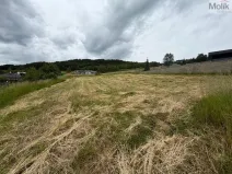 Prodej pozemku pro bydlení, Málkov - Zelená, 1024 m2