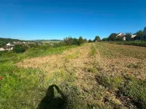Prodej pole, Boršice, 2375 m2