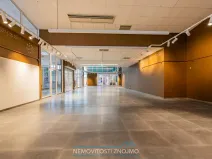 Pronájem obchodního prostoru, Chvalovice - Hatě, 274 m2