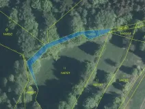 Dražba lesa, Hovězí, 281 m2