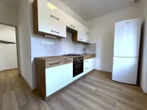 Pronájem bytu 2+1, Plzeň - Východní Předměstí, Rychtaříkova, 53 m2