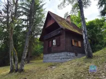 Prodej chaty, Svojšín, 59 m2