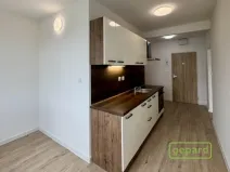 Pronájem bytu 2+1, Veselí nad Lužnicí, K Zastávce, 55 m2