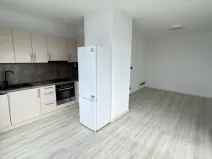 Pronájem bytu 1+kk, Plzeň, Pilařská, 40 m2