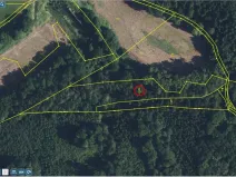 Prodej lesa, Bradlecká Lhota, 5202 m2