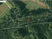 Prodej lesa, Bradlecká Lhota, 5202 m2