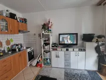 Prodej bytu 1+kk, Plzeň, Sokolovská, 32 m2