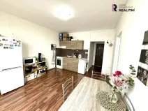 Pronájem bytu 1+1, Sokolov, Mánesova, 37 m2