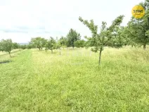Prodej sadu/vinice, Strážnice, 4194 m2