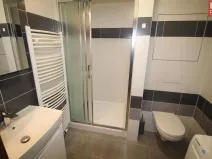 Pronájem bytu 1+kk, Olomouc, Wolkerova, 33 m2