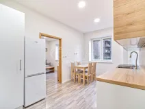 Pronájem bytu 1+1, Moravská Ostrava, Sokolská třída, 43 m2