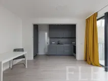 Pronájem bytu 1+kk, Praha - Žižkov, Hartigova, 37 m2