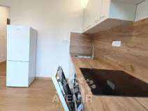 Pronájem bytu 3+1, Liberec, U Mlékárny, 72 m2