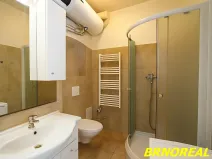 Pronájem bytu 1+kk, Brno, Vodní, 20 m2