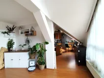 Pronájem bytu 4+1, Chrudim, Palackého třída, 133 m2