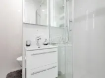 Pronájem bytu 1+1, Ostrava - Výškovice, Na Výspě, 38 m2