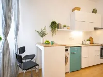 Pronájem bytu 1+kk, Brno, Koliště, 22 m2
