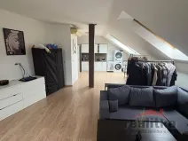 Pronájem bytu 1+kk, Opava - Předměstí, Na Rybníčku, 50 m2