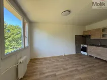 Pronájem bytu 3+1, Most, Bělehradská, 69 m2