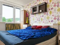 Prodej bytu 2+1, Praha - Karlín, Nekvasilova, 56 m2
