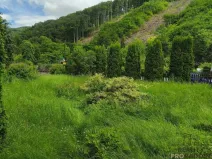 Pronájem zahrady, Šternberk, 300 m2