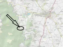 Prodej lesa, Prostějovičky, 1629 m2